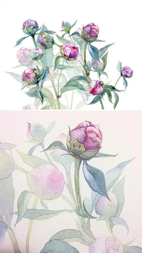 水彩画 花卉 俄罗斯画家katerina pytina
