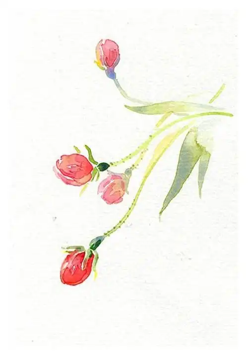 花草,水墨,封面,淡雅,唯美,插画,古风