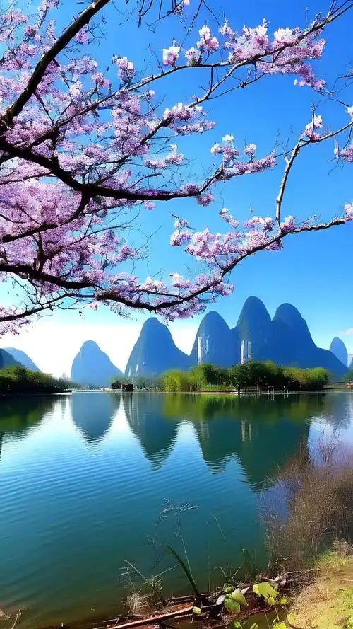 走进桂林也有 这么美的风景#夏天该有的样子 #感受大自然 # - 抖音