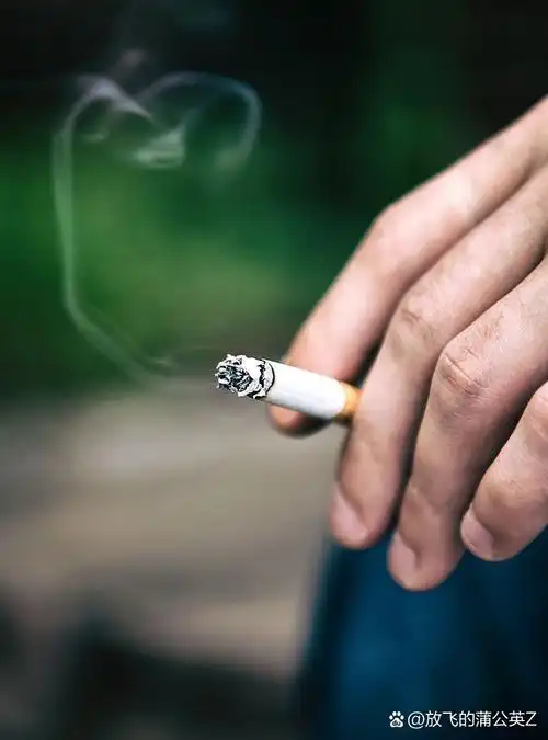 是谁在笔尖轻舞间,发明了香烟,让夜深人静时,一缕