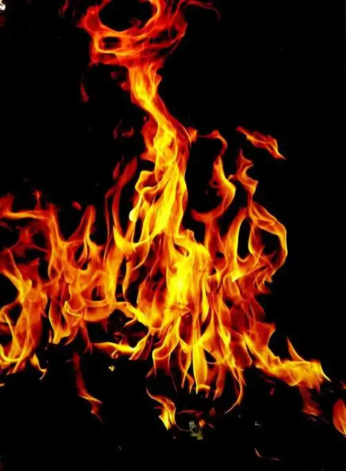 开心园ll原创 火焰树/七绝 - 美篇