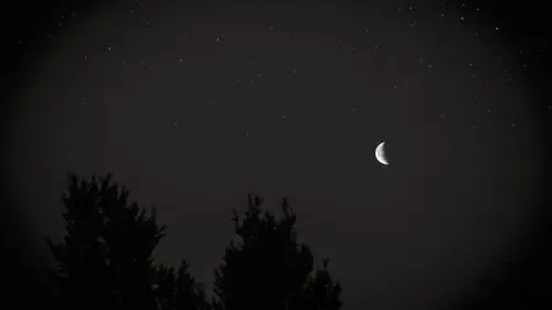 壁纸月球,夜,天空,树,星星,黑暗高清:宽屏:高清晰度:全屏