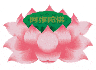 莲花绿色阿弥陀佛莲蓬gif动图_动态图_表情包下载_soogif
