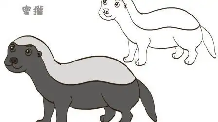 蜜獾简笔画