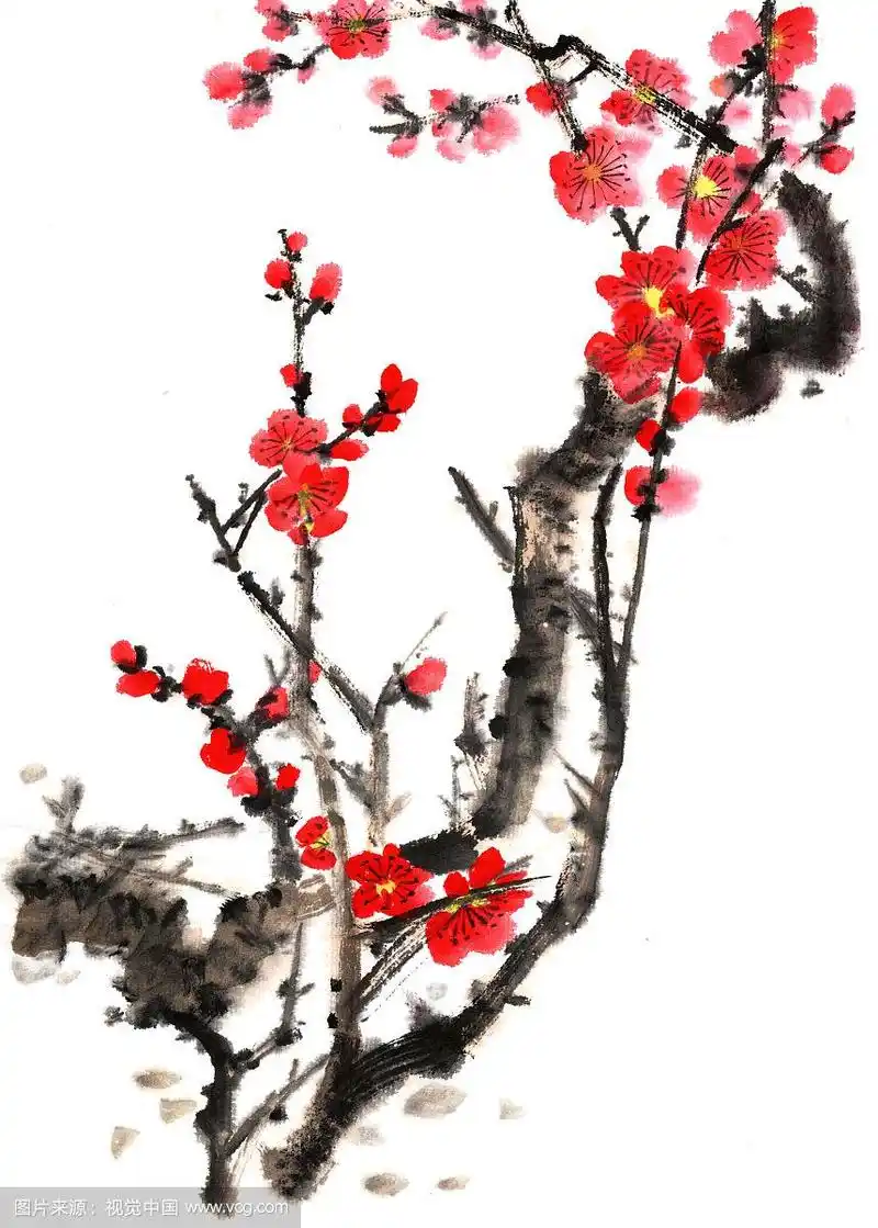 国画写意--梅花