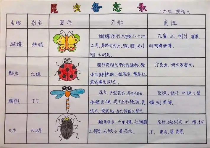 昆虫世界真奇妙,备忘录里能知道!