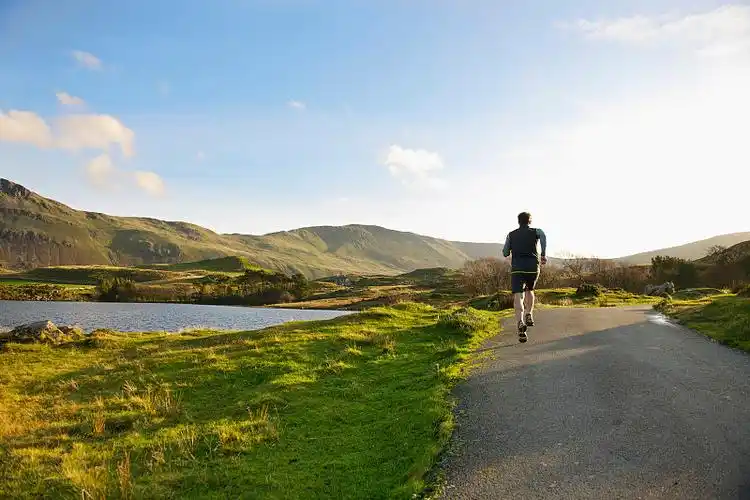 跑步 背影 路图片_跑步 背影 路高清图片素材库