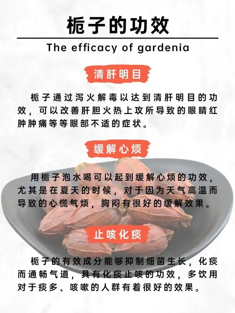 栀子的功效与作用78栀子的推荐搭配73 04栀子的功效 16615