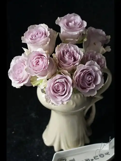 迪瑞特冬日恋歌玫瑰