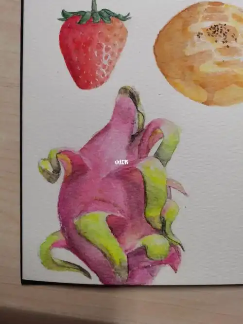 手绘水彩火龙果(附步骤图)