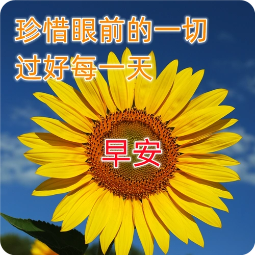 非常好看早上好问候语表情图片大全 早上好早安问候句子