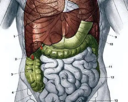 肋骨右侧接近身体右侧最近有点憋闷的感觉