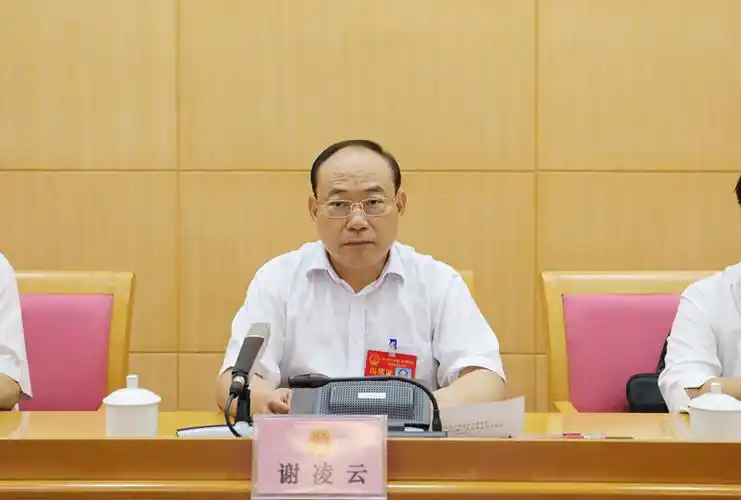 副主任谢凌云主持会议,副主任李桂珍,徐远洲,苏建中,程权,叶剑强,秘书