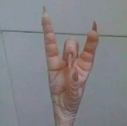 爱吃鸡爪的你,对,就说你,立功了!你成就了一桩天作之合…【天知道】