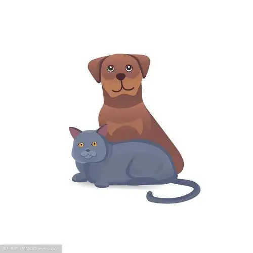 猫和狗在一起可爱的卡通人物