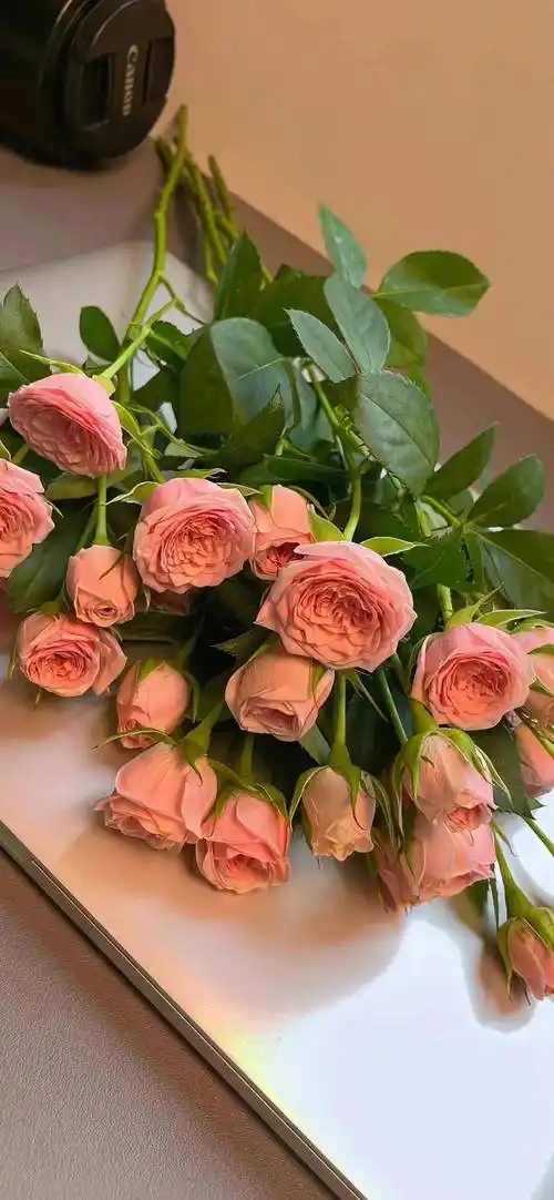 壁纸私藏小众高级感ins风壁纸