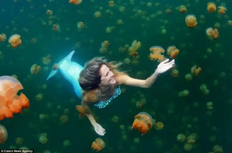 linden wolbert, la sirène qui danse avec les requins
