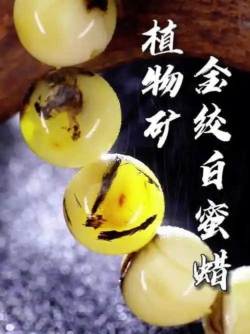 罕见金绞白蜜蜡植物珀