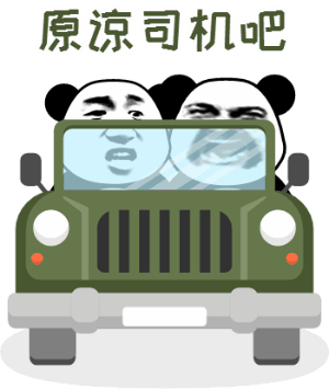 飙车熊猫系列表情包