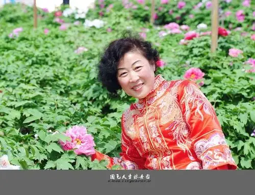 旗袍 美女 牡丹花