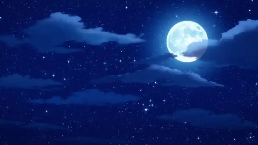 自截//景物//美食//背景//横图