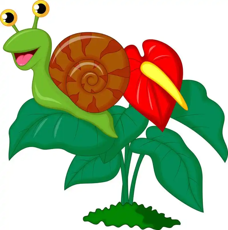 可爱蜗牛卡通,可爱的蜗牛卡通在叶子上