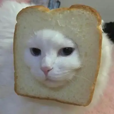 沙雕猫猫情侣头像高清超萌的沙雕可爱猫咪情头图片