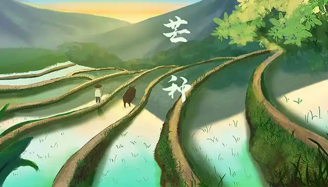 2021芒种节气手绘图片关于芒种的画有哪些