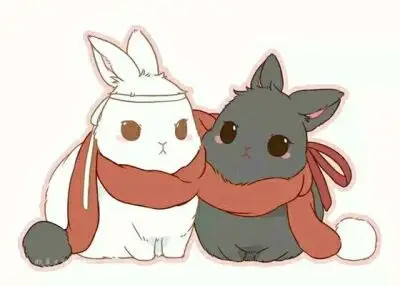 魔道 忘羡家兔子君