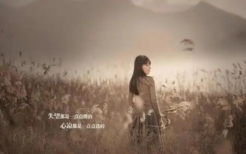 渐渐的我的心凉了图片