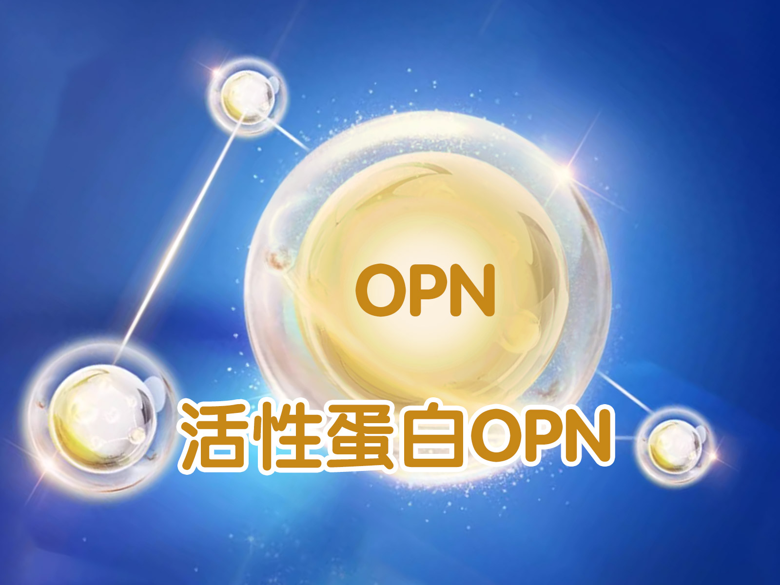 金领冠睿护活性蛋白OPN