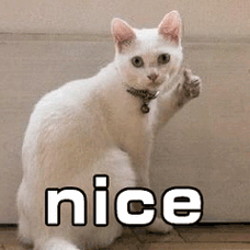 猫喵星人萌宠nice赞大拇指gif动图_动态图_表情包下载_soogif