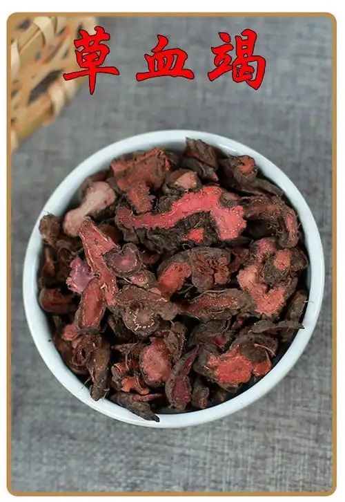 拳参 拳参图片别名及功效