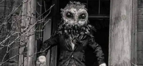 可在上个世纪的英国居然出现了猫头鹰人,它和天蛾人相似,拥有人类的