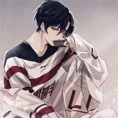 男生最爱的帅气qq头像(18张)