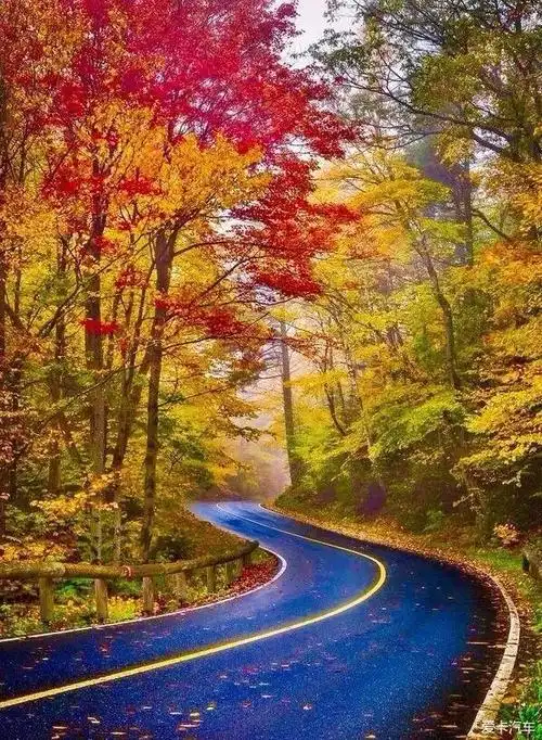 玩转地球#世上最美的风景,就是回家的路.