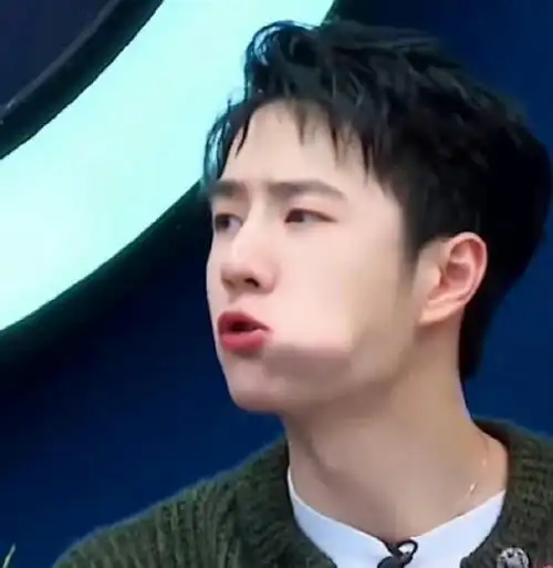 王一博#|#王一博 爱奇艺尖叫之夜#这奶膘 一口一个 甜的嘞