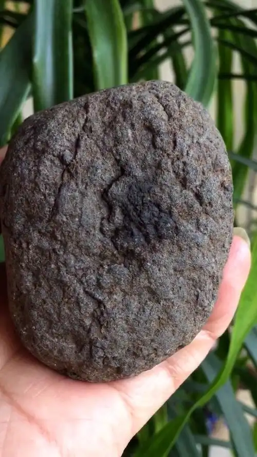 我要上热门#无球粒陨石,密度2.9,硬度6.1,质量1777g,中磁性