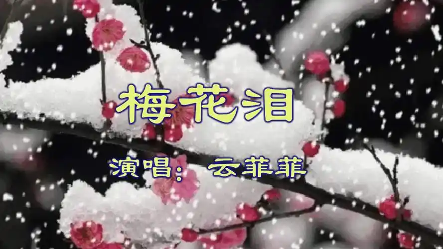 《梅花泪》云菲菲 视频歌曲