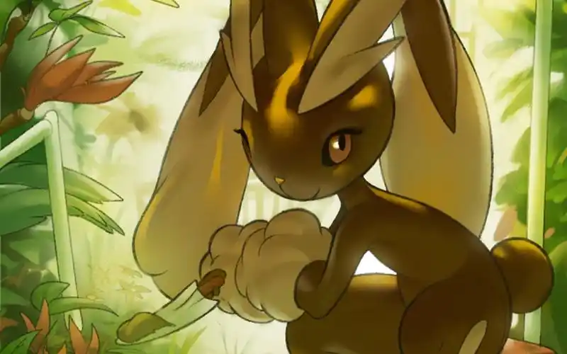 no428长耳兔同人合集耳朵似乎非常敏感触摸时要温柔小