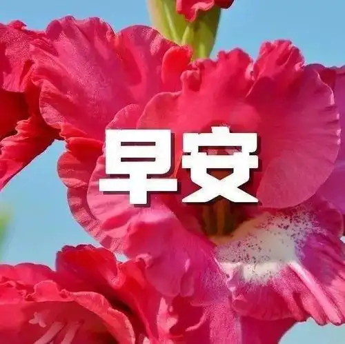 2021最美早安问候语,最适合发朋友圈的早安心语带图片