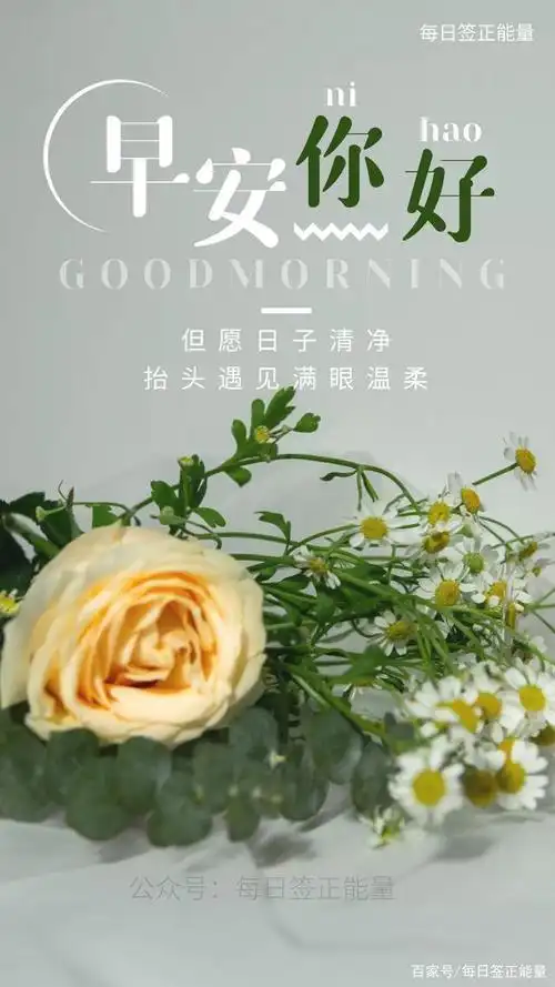 「早安微语」内心世界与文字及图片一样美,领悟文字和欣赏美图