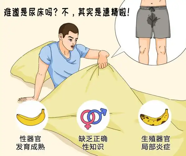 遗精是什么年龄段