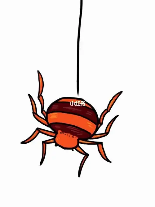 这样画蜘蛛简笔画更简单哦