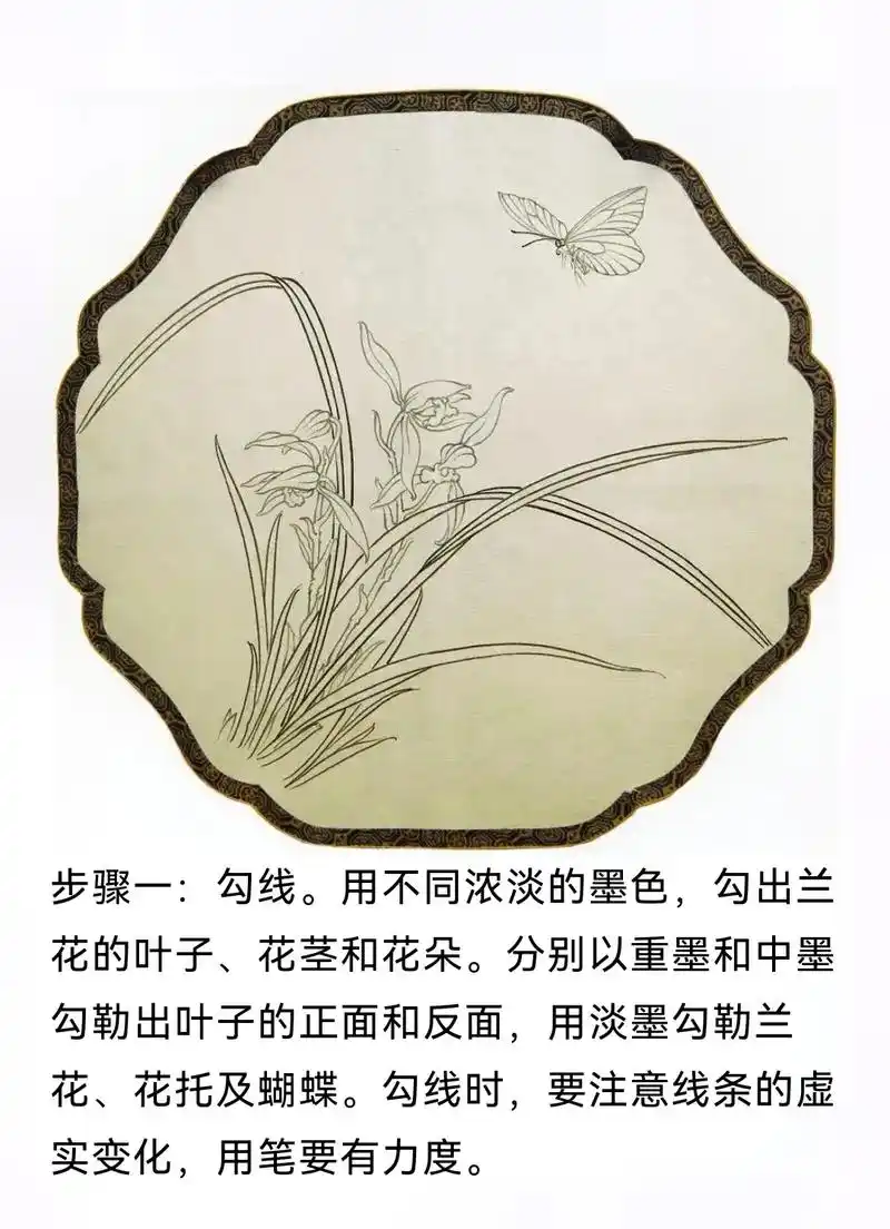 工笔画基础教程 #工笔花鸟画 #工笔画团扇 #一起画画 # - 抖音