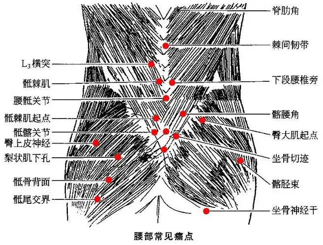 腰骶部是哪个部位