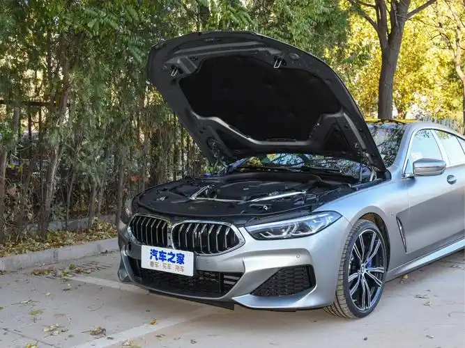 宝马(进口) 宝马8系 2021款 改款 840i xdrive 四门轿跑车 m运动套装