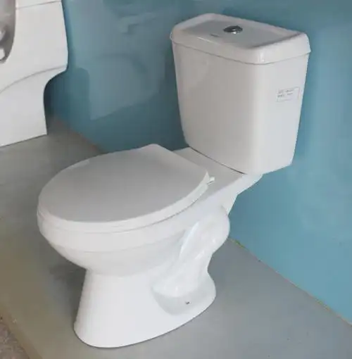 菲律宾分体马桶南美分体虹吸式地排双按冲水马桶手按式坐便器批发-阿