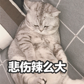 悲伤辣么大猫伤心可爱呆萌gif动图_动态图_表情包下载_soogif