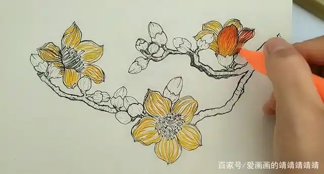 这个春天一起来画画吧,木棉花详细过程图来啦~快来看看吧
